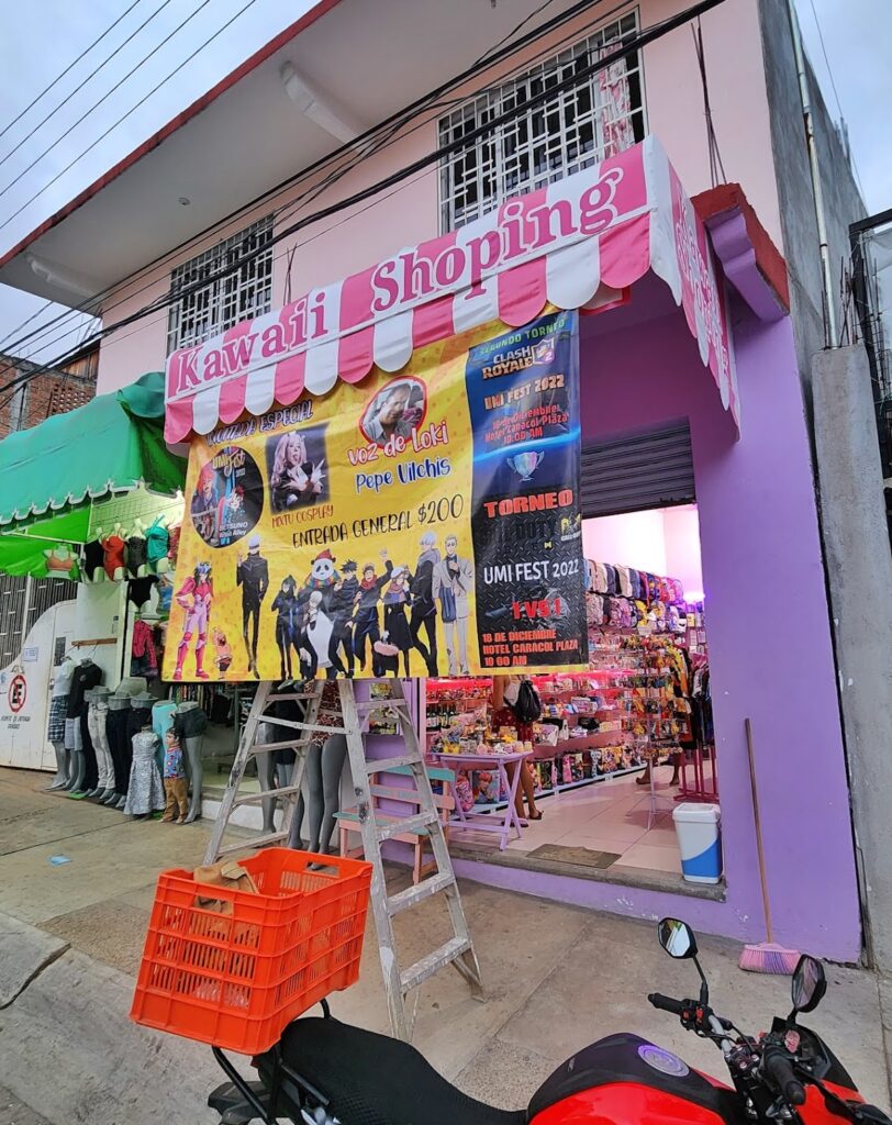 35462 kawaii shoping 812x1024