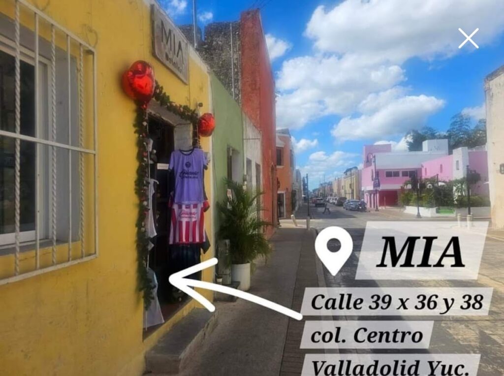 35543 detalles mia 1024x764