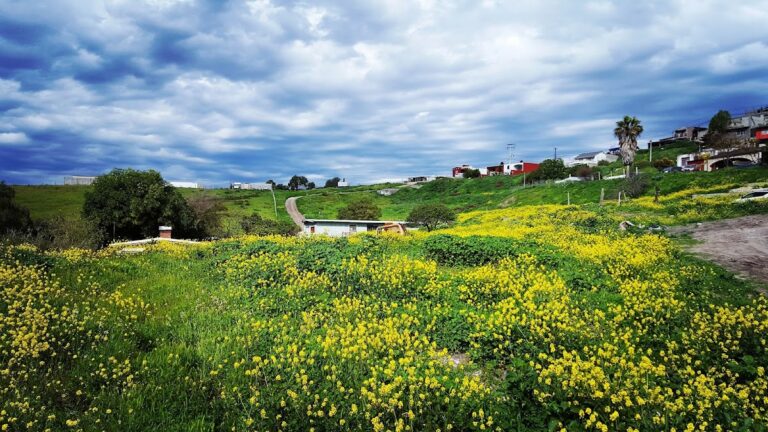 36603 jv ingenieria civil 768x432