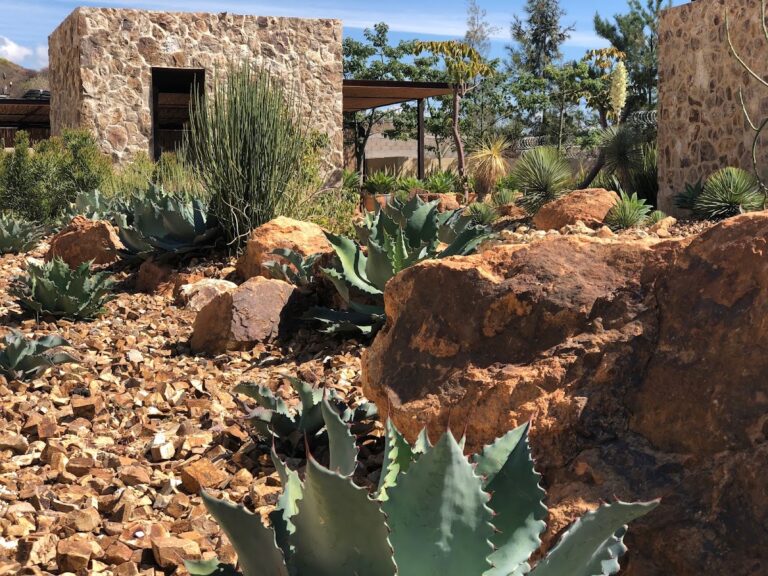 36912 nativo 768x576