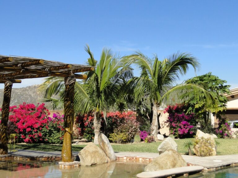 36916 los cabos landscaping 768x576