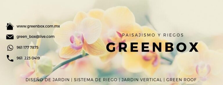 36959 greenbox paisajismo y riegos 768x292