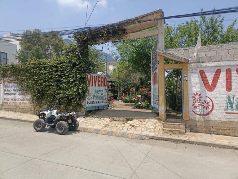 36965 viveros nueva primavera 768x577