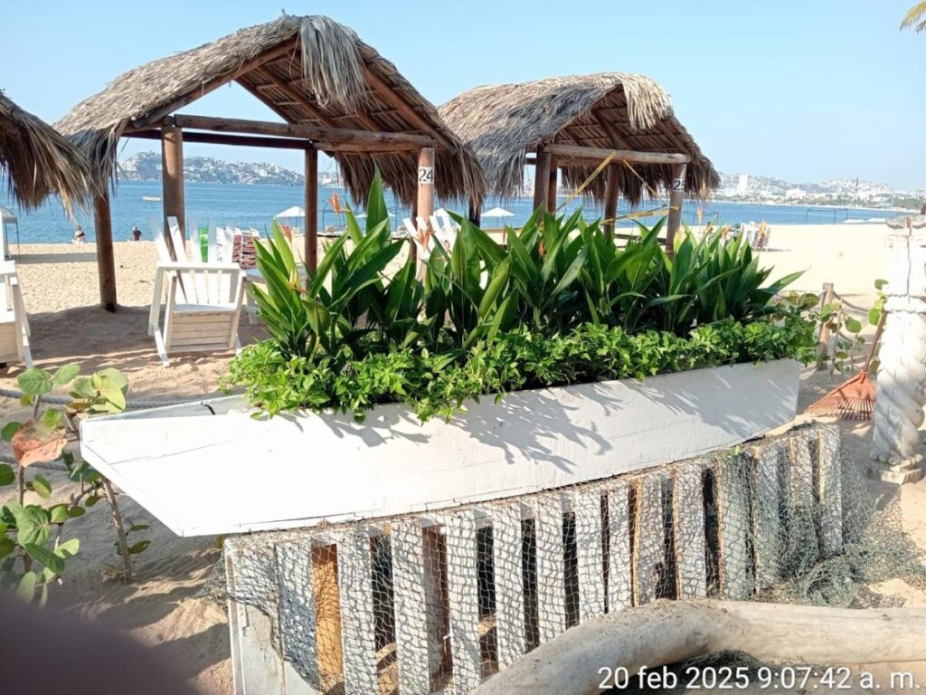 37030 jardineria yamamotos 1024x768