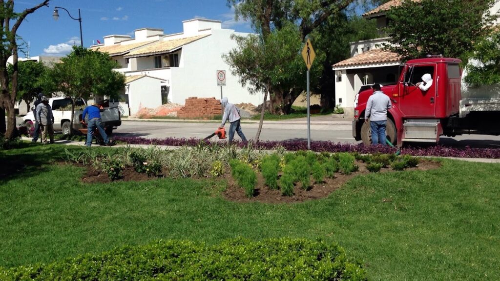 37034 paisajismo de alto nivel 1024x576