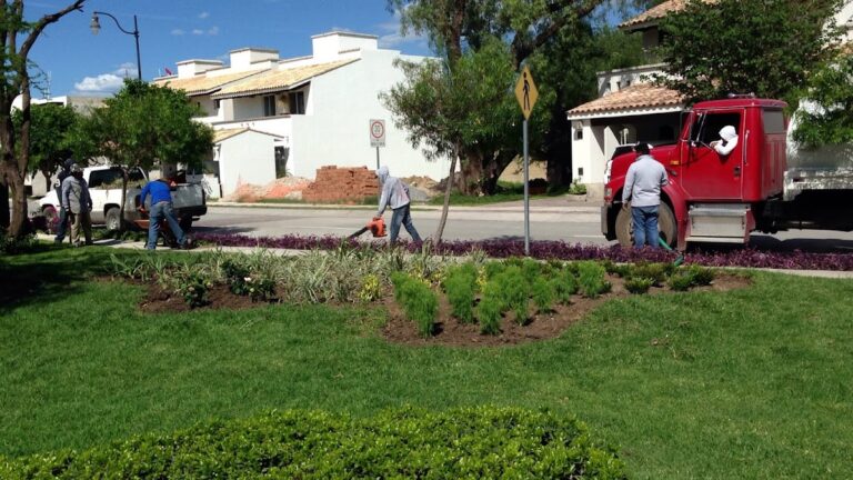 37034 paisajismo de alto nivel 768x432