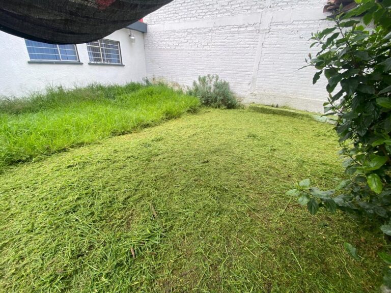 37038 dm garden 768x576