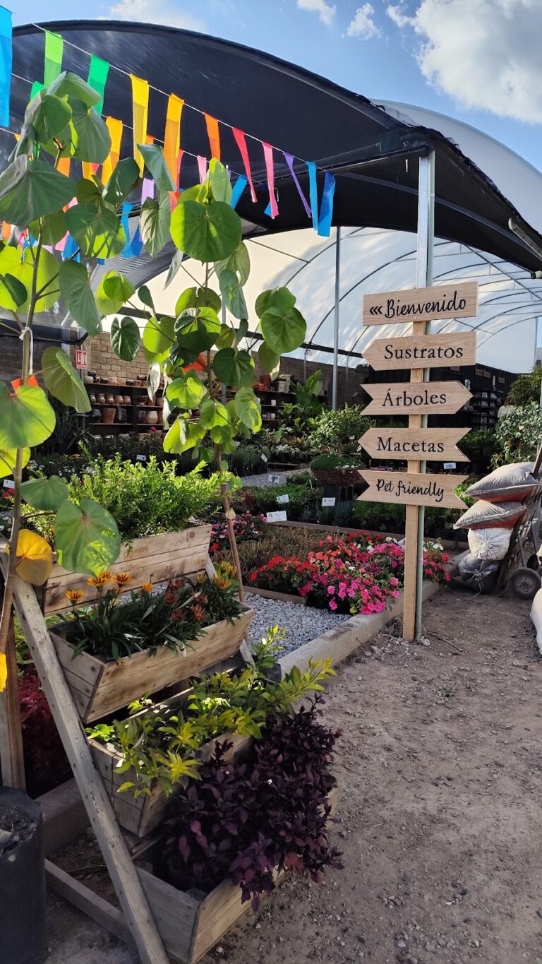 37055 viveros lamas 768x1365