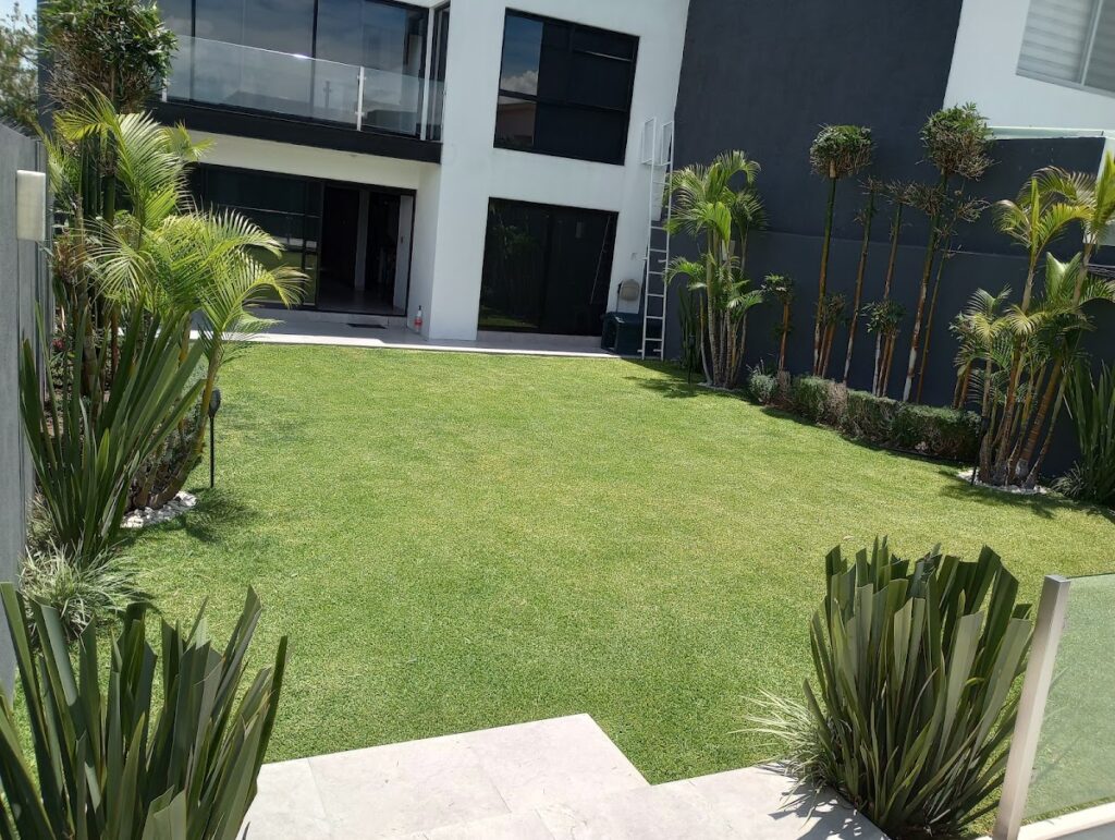 37059 servicio de jardineria en general don luis 1024x771