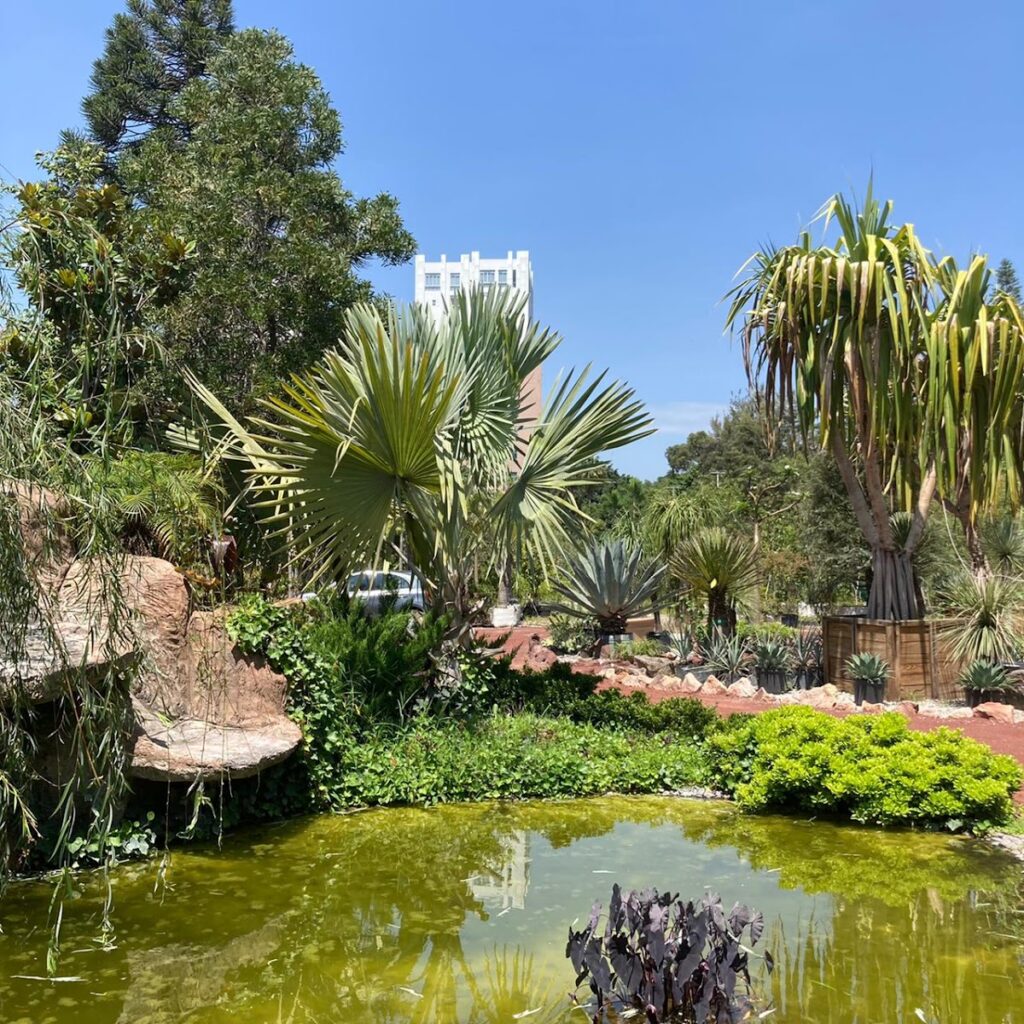 37069 verde urbano vivero y paisajismo 1024x1024