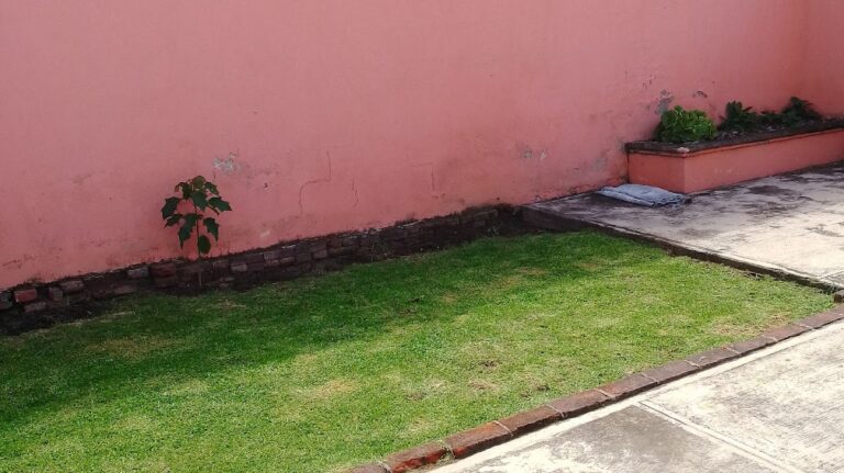 37145 jardinero cholula. zerezotla 768x431