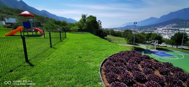 37168 paisajismo verde 768x355