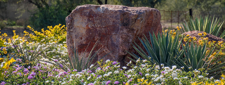 37196 paisajismo sonora 768x292