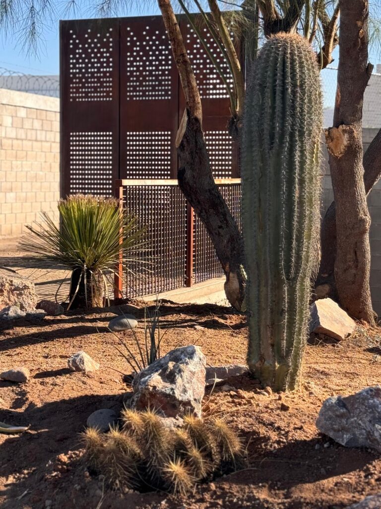 37213 urbanicola 768x1024