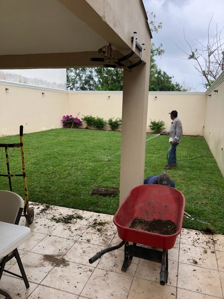 37226 vivero vista verde periferico buena vista 768x1024