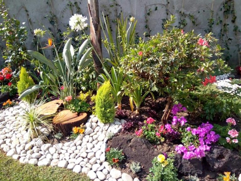 37244 8221 la nueva esperanza8221 768x576