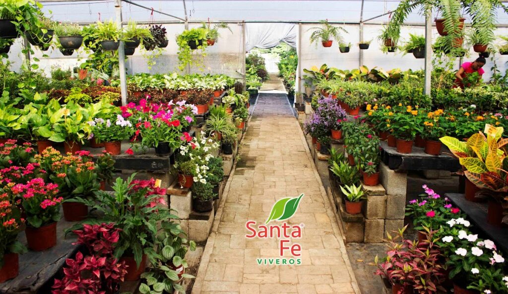 37257 santa fe viveros 1024x593