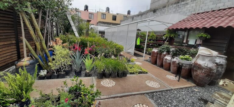 37281 viveros del lago 768x354