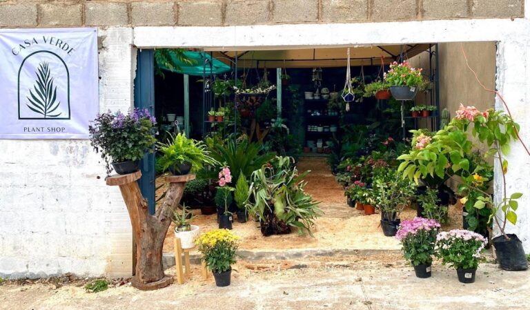 37295 casa verde coatza 768x449