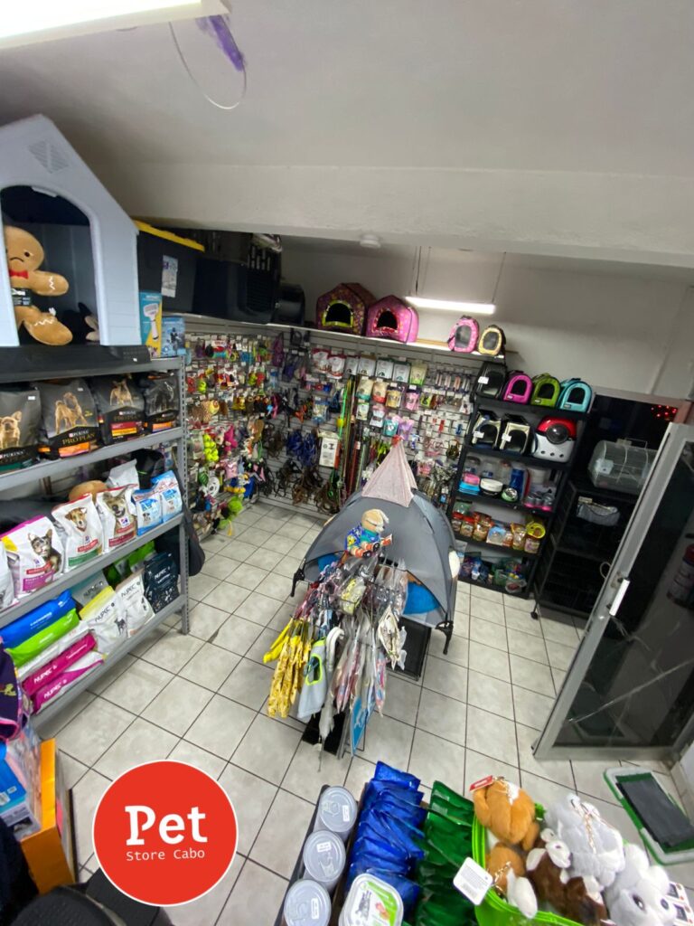 37748 pet store cabo 768x1024
