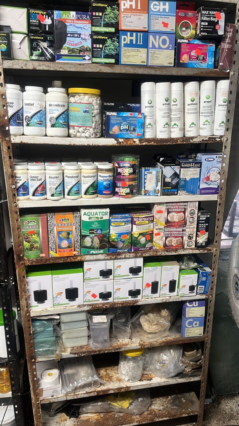 37755 iker peces y plantados 768x1365