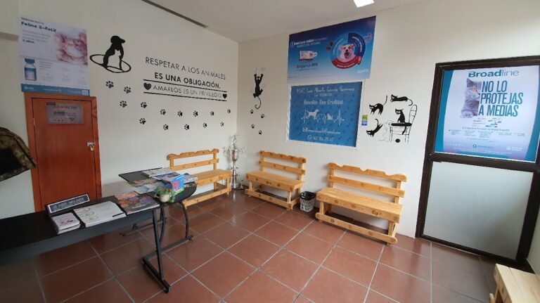 37759 veterinaria mascotas san cristobal 768x431
