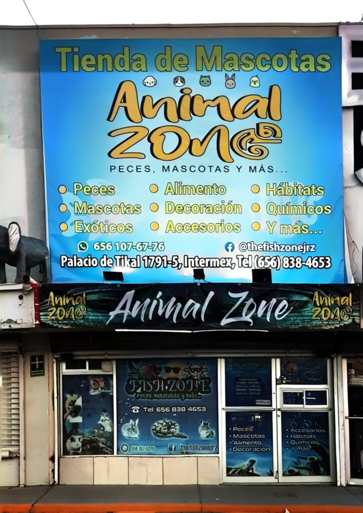 37774 animal zone 724x1024