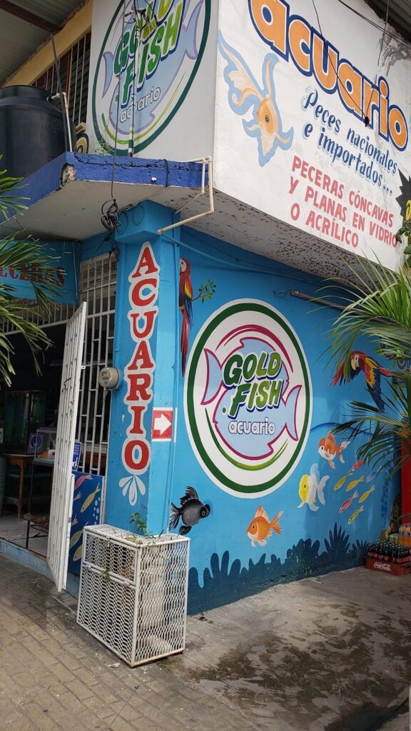 37788 goldfish acuario y mascotas 576x1024