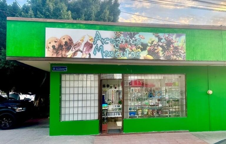 37813 pet it 768x488