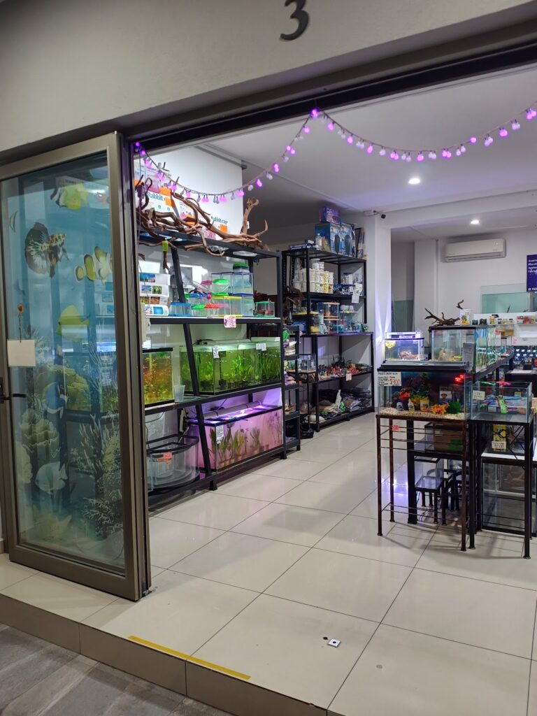 37846 acuario galaxy 768x1024