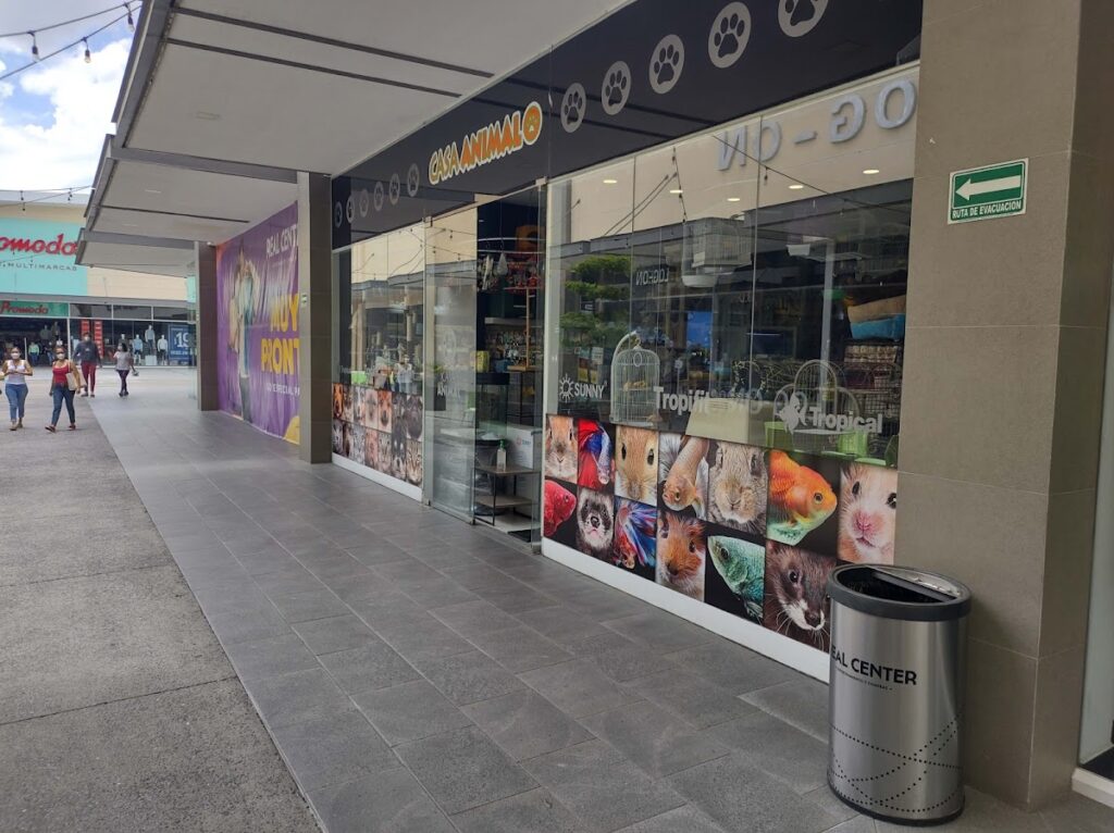 37879 casa animal real center 1024x766