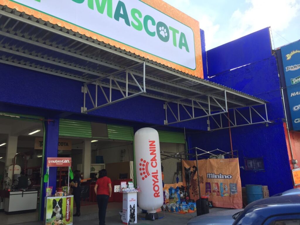 37885 pumascota tlalnepantla 1024x768