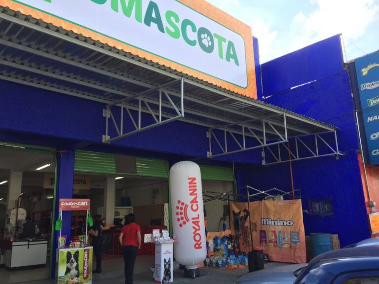 37885 pumascota tlalnepantla 768x576