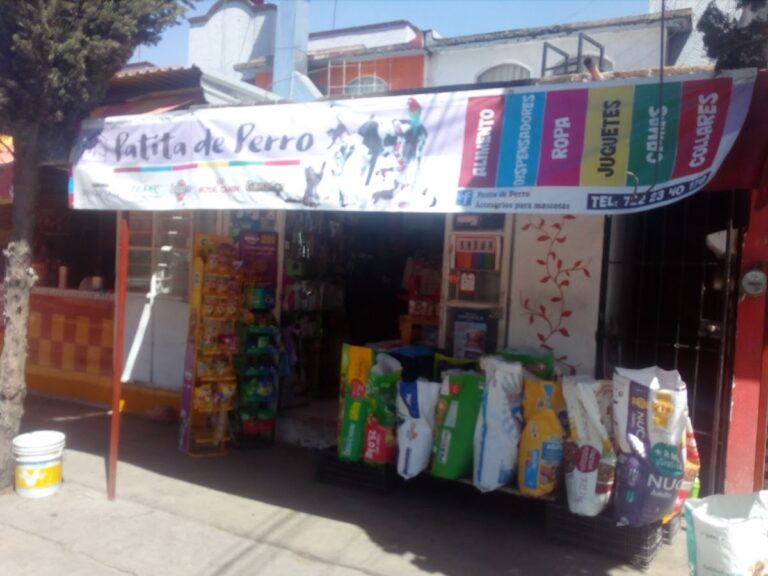 37888 tiendas de accesorios para mascotas la patita de perro 768x576