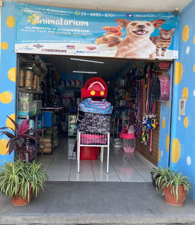 37904 animalarium 768x884