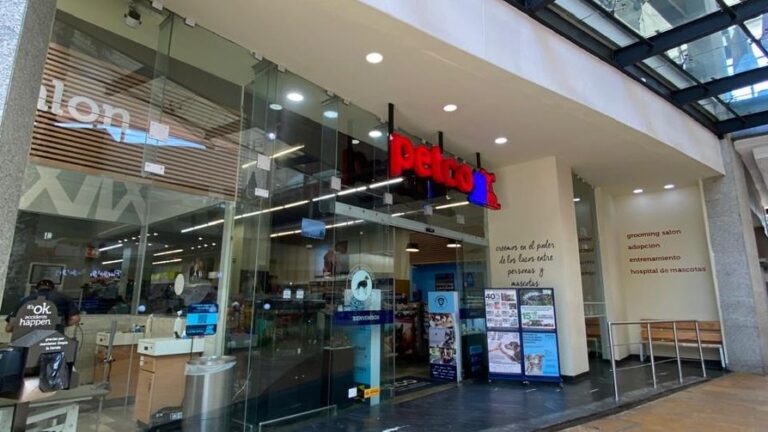 37911 petco mundo e 768x432