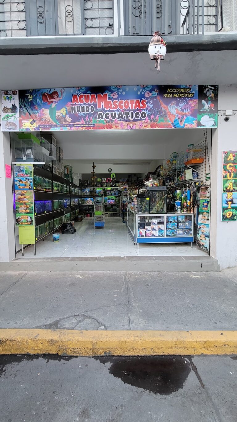 37914 mundo acuatico 768x1365