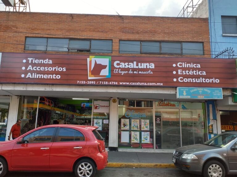 37931 clinica veterinaria casa luna tlalnepantla 768x576