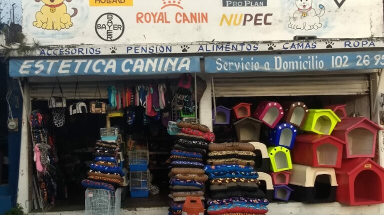 37937 super mascota 768x431