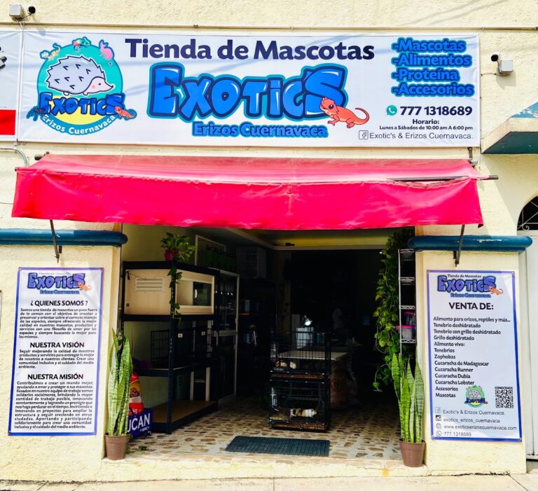 37941 exotics erizos cuernavaca 768x701