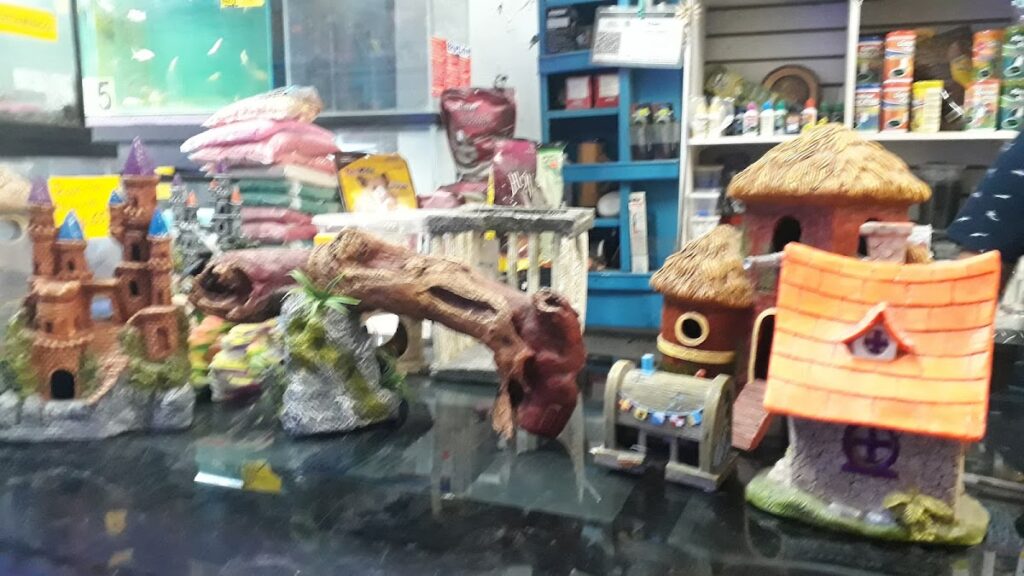 37950 mi ranchito 1024x576