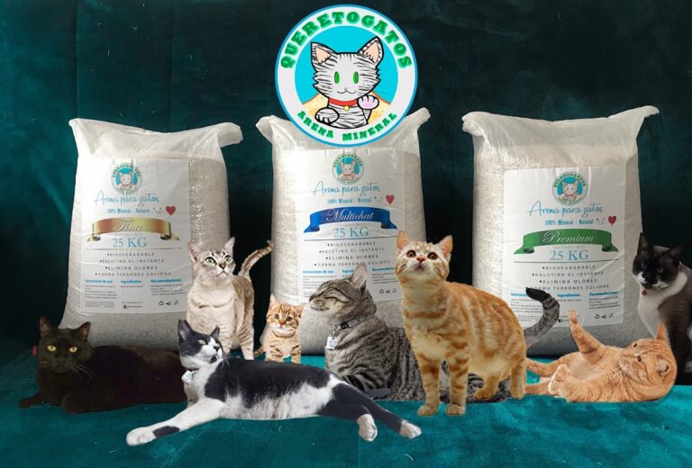 37995 queretogatos 768x520