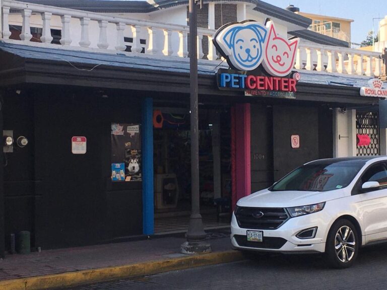 38003 petcenter san andres cholula 768x576