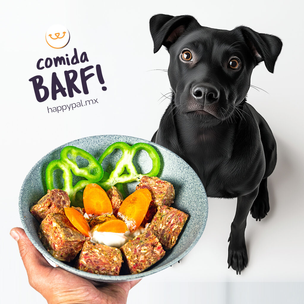 38015 happy pal tulum dieta barf para perros. comida cruda natural 1024x1024