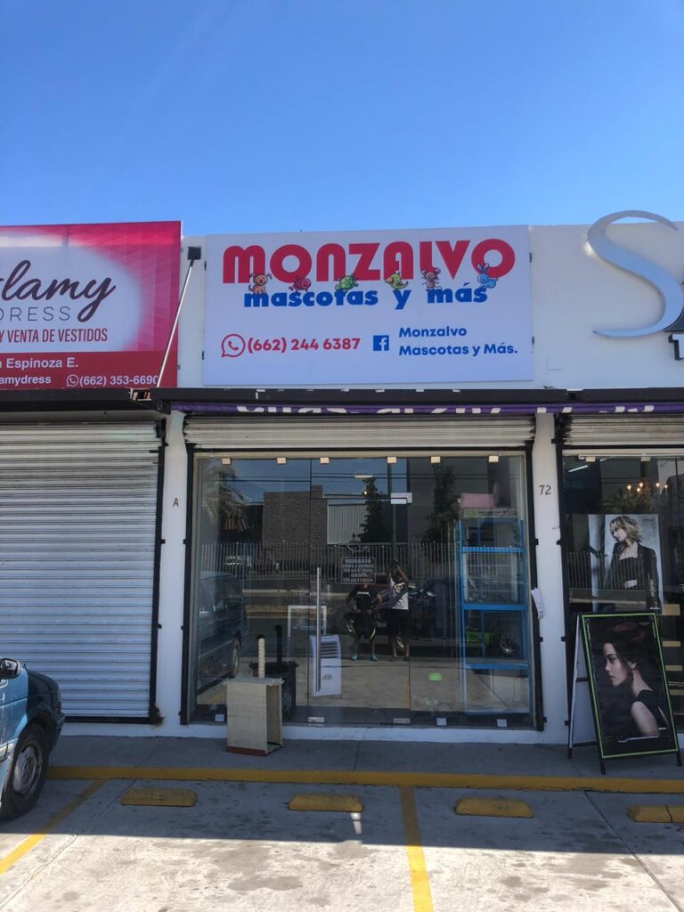 38019 monzalvo mascotas lopez portillo 768x1024