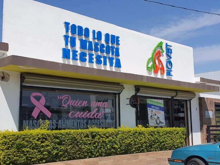 38025 figvet veterinaria 768x576