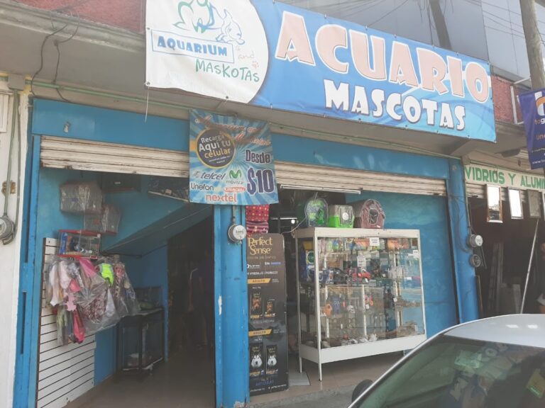 38064 aquarium and maskotas tlaxcala 768x576