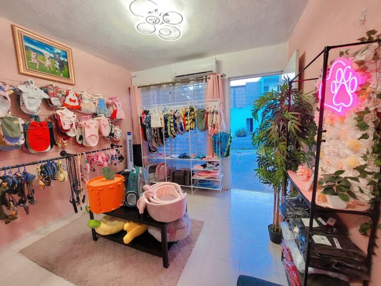 38098 michiguau valladolid 768x576