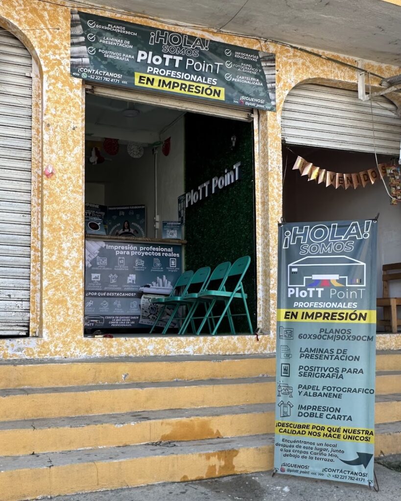 38281 plott point 819x1024