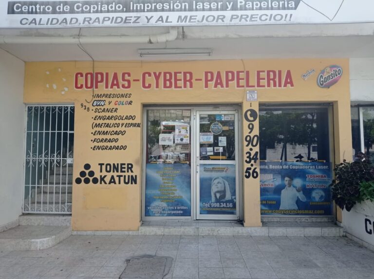 38402 copyserviciosmaz 768x574